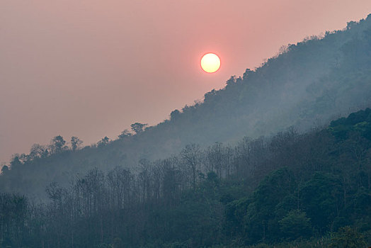 老挝森林日出