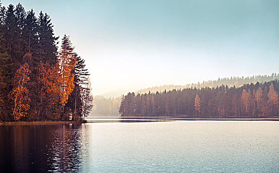 秋景,海岸,雾,安静,湖,彩色,滤光,照片