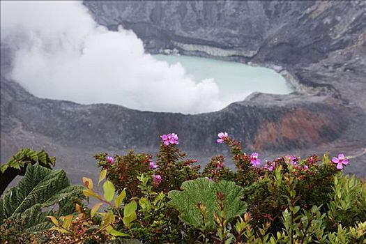 火山,哥斯达黎加,中美洲