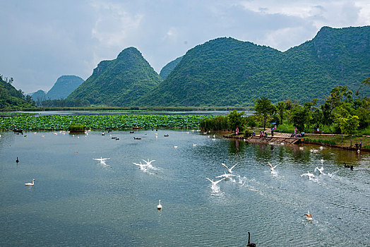 云南省文山州丘北县普者黑景区