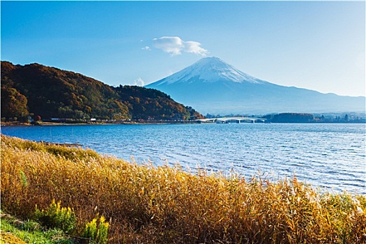 山,富士山,湖,秋天
