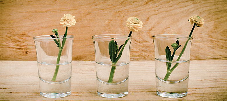 春花,玻璃,木桌子