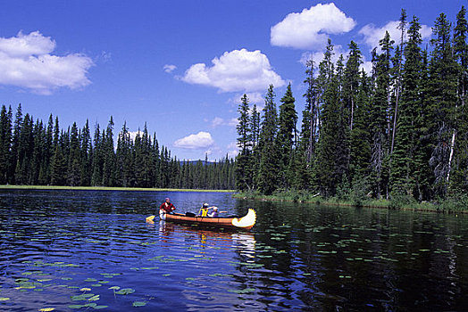 加拿大,不列颠哥伦比亚省,太阳,顶峰,靠近,湖,独木舟