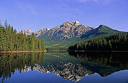 湖,反射,碧玉国家公园,艾伯塔省,加拿大