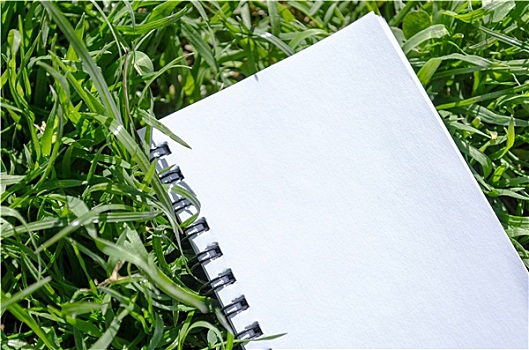 留白,笔记本,翠绿,草,背景