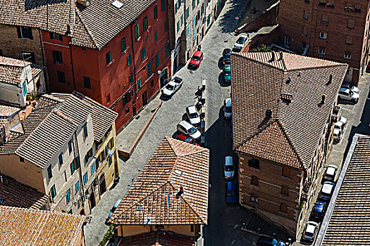 航拍,屋顶,房子,锡耶纳,托斯卡纳,意大利