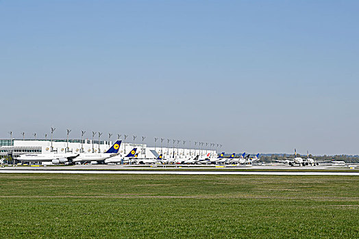 飞机,飞机跑道,正面,航站楼,慕尼黑,机场,上巴伐利亚,德国,欧洲