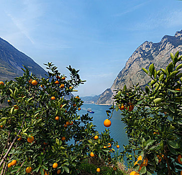 长江三峡西陵峡橙子