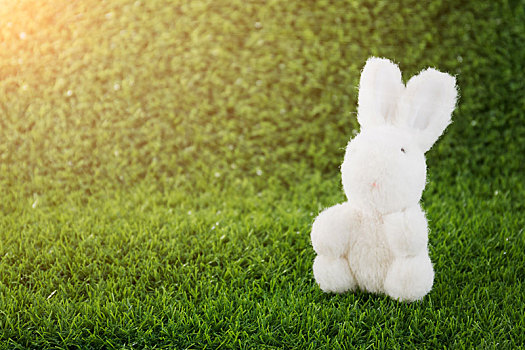 兔子,玩具,青草
