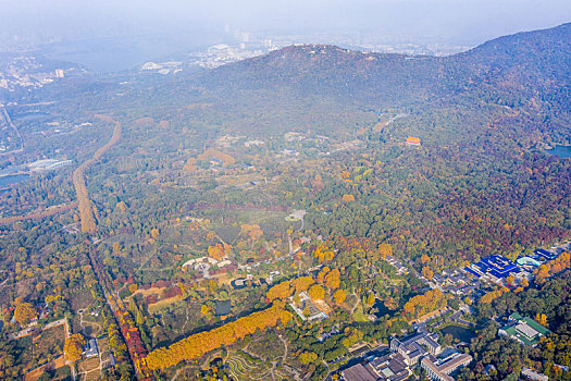 航拍江苏南京钟山风景名胜区