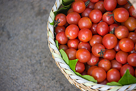 篮子,西红柿,中国
