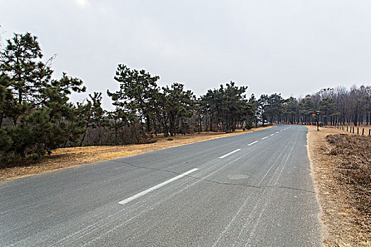 林间公路,森林公园