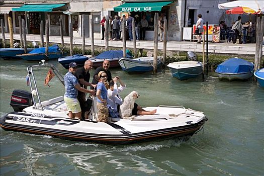 人,狗,船,慕拉诺,泻湖,威尼斯,意大利,欧洲