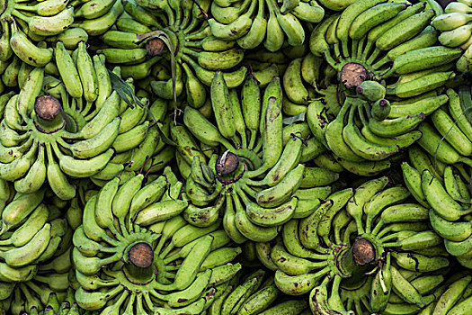 香蕉,茎,百老汇,市场,喀拉拉,印度,亚洲