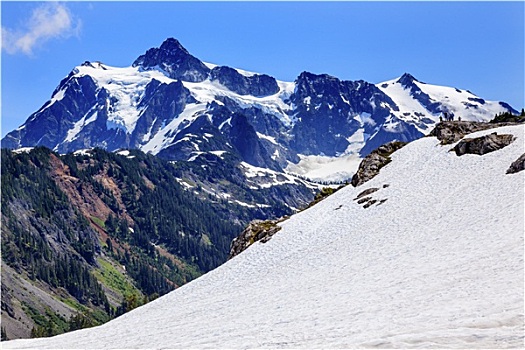 远足,雪原,艺术家,冰河,舒克森山,华盛顿