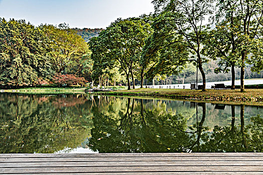 杭州太子湾公园秋景