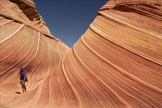 游客,看,波状,图案,岩石上,狼丘,帕瑞亚峡谷红崖荒原,亚利桑那,美国