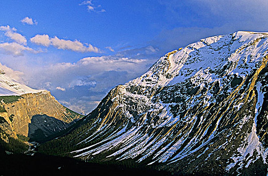 冰原大道,高耸,顶峰,相互,加拿大,落矶山,班芙国家公园,艾伯塔省