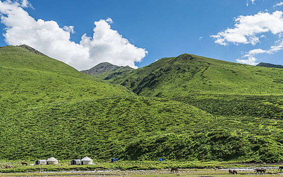 中国新疆夏季蓝天白云下g217独库公路沿途高山草原