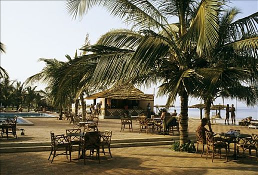 冈比亚,人,海滩,棕榈树