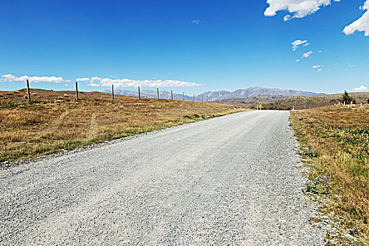 道路,靠近,草场,夏天,新西兰