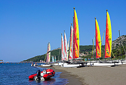 双体船,摩托艇,海滩,地中海,西南部,土耳其