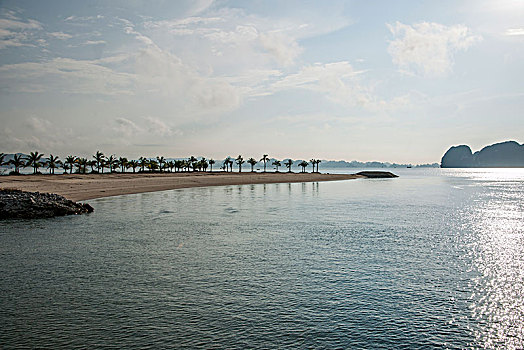 越南广宁鸿基市下龙湾游船接待中心码头防波堤坝上的一排椰林