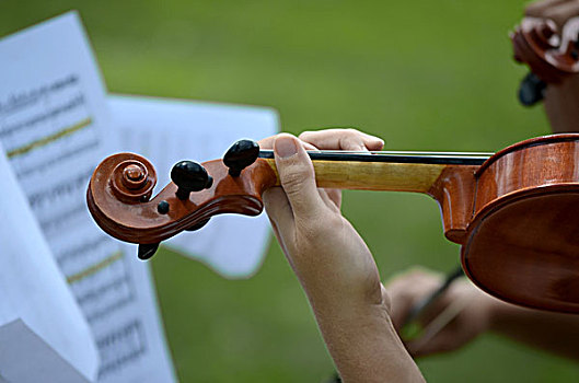 特写,演奏,小提琴