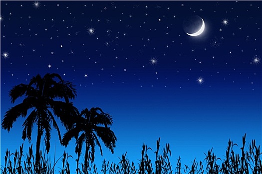 椰树,月亮,星星