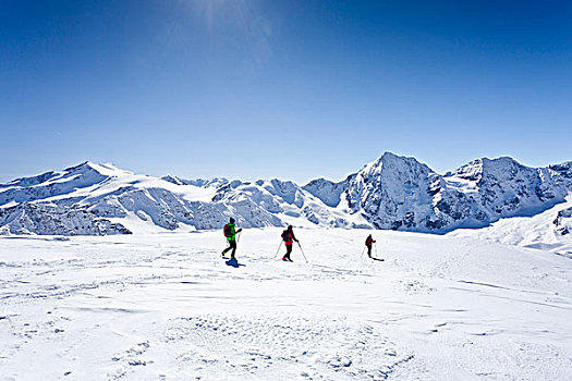 越野滑雪者,下降,山,远眺,山峦,意大利,欧洲