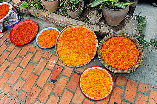 藏红花,花,弄干,盛开,空气,琅勃拉邦,老挝,东南亚