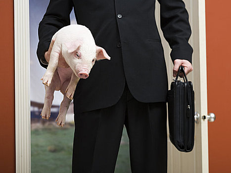 商务人士,拿着,公文包,小猪