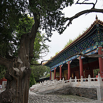孔子,庙宇,北京,中国