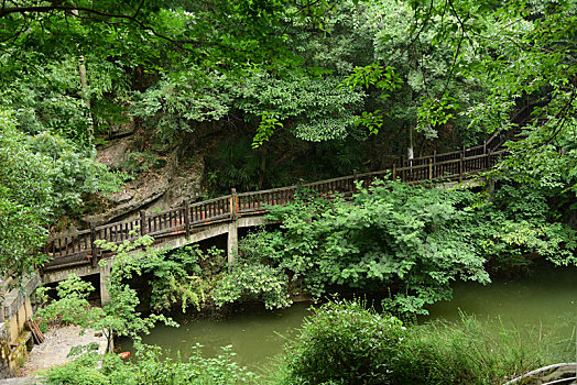 中国江苏省无锡市宜兴市善卷洞风景区山林河水中的栈道小路