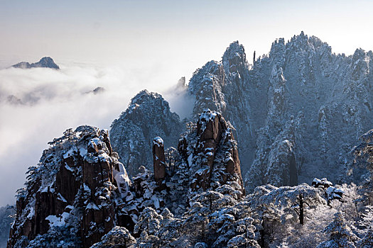 中国安徽黄山风景区,冬日雪后奇峰怪石林立,云雾飘渺宛若仙境