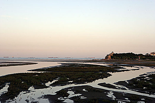 鸽子窝湿地