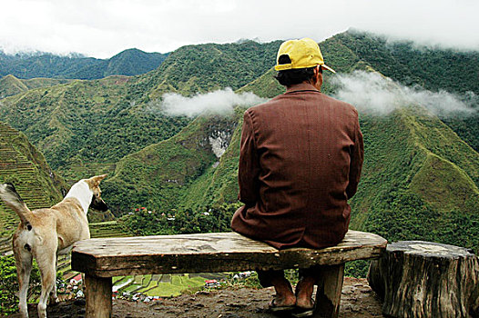 伊富高省,男人,狗,俯视,巴塔德,稻米梯田,菲律宾,十一月,2006年