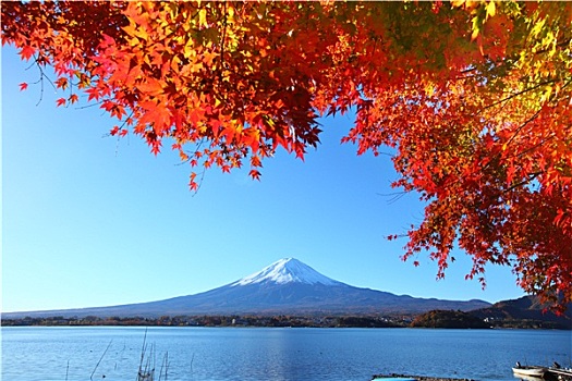 山,富士山,秋天