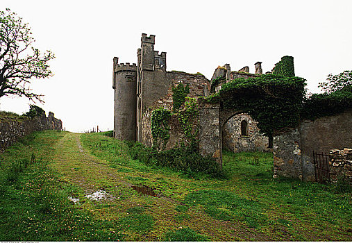 克利夫登,城堡,爱尔兰