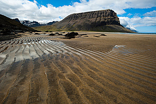 沙滩,峡湾,冰岛,欧洲