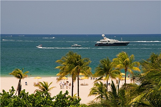 游艇,蓝色,地平线,棕榈树,劳德代尔堡,美国,佛罗里达,海滩