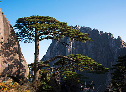 下第,一奇,安徽省,黄山,迎客松