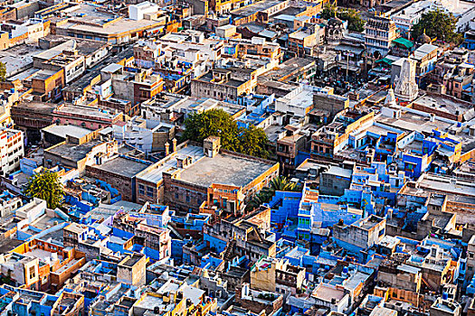 蓝色,城市,拉贾斯坦邦,印度