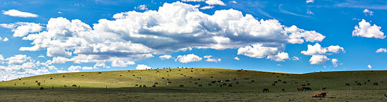 山丹祁连山军马场美景