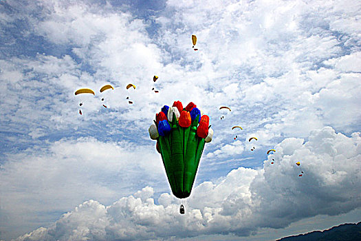 首届重庆梁平航展上郁金香花型热气球与动力伞共同表演
