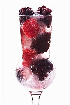 树莓,黑莓,烈性酒,冰冻