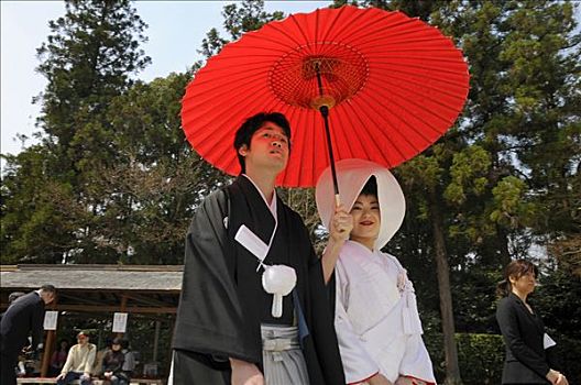 日本,婚礼,伴侣,穿,传统,和服,新娘,新郎,拿着,红色,伞,正面,神祠,京都,亚洲