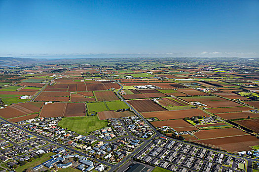 住宅开发,菜园,南,奥克兰,北岛,新西兰