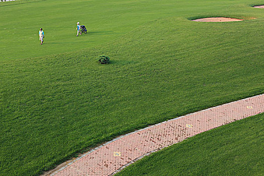 高尔夫球场,草地,图案