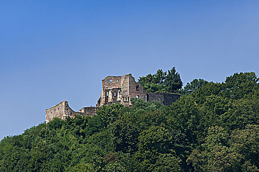 杜瑙斯陶夫,城堡,遗址,雷根斯堡,地区,普拉蒂纳特,巴伐利亚,德国,欧洲